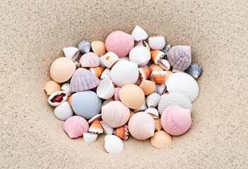 Colorful seashells on the beach