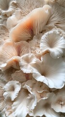 Poster - Explore a mesmerizing underwater world where coral structures display intricate patterns and vibrant colors, beckoning divers to appreciate their fragile beauty and ecological significance