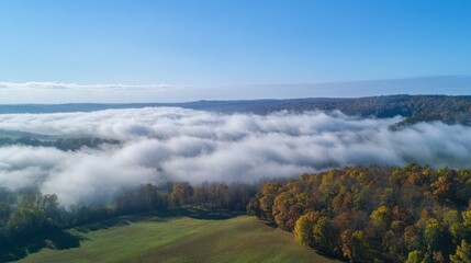 Aufkleber - A stunning aerial perspective showcases a sea of clouds enveloping lush greenery and colorful autumn foliage. The tranquil scene feels calm and inviting, bathed in soft sunlight