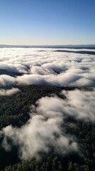 Poster - A breathtaking panorama reveals a thick carpet of clouds floating gently above a verdant forest, illuminated by the soft glow of early morning light. The tranquility is palpable