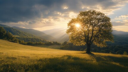 Wall Mural - Sunset over serene valley with a solitary tree and rolling hills in the background. Generative AI