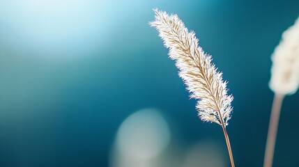 Aufkleber - Delicate Grass Blowing Gently in the Breeze Against a Soft Blue Background : Generative AI