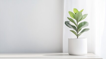 Poster - Minimalist indoor plant placed in a contemporary pot enhancing modern living space aesthetics : Generative AI