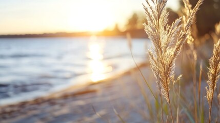 Poster - Serene beach scene with golden grass swaying in the breeze at sunset reflecting on tranquil waters : Generative AI