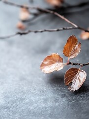 Poster - Dried autumn leaves resting on a sleek gray surface isolated on white background creating a minimalist aesthetic : Generative AI