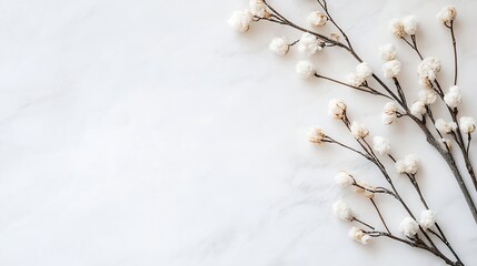 Poster - Elegant white branches with fluffy cottonlike flowers arranged on a marble background : Generative AI
