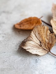 Poster - Autumn leaves in warm tones showcasing their natural decay for a seasonal and artistic background : Generative AI
