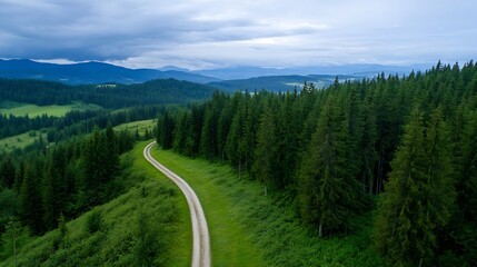 Aufkleber - Scenic Aerial View of Lush Green Forests and Winding Pathway in Serene Landscape : Generative AI