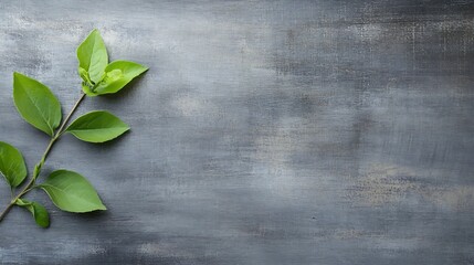 Poster - Close up image of fresh green leaves on a gray rustic background for nature and plant themes : Generative AI