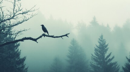 Fototapete - Lone bird perched on a dead branch amidst a foggy forest setting during early morning hours. Generative AI