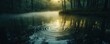 © Влада Яковенко - Tranquil forest pond at sunrise with mist and ripples creating a serene natural atmosphere
