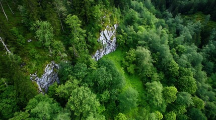 Poster - Aerial view of lush green forest surrounding majestic rock formations in a natural landscape : Generative AI