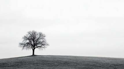 Poster - Lonely tree on a hill with a minimalist background in black and white scenery : Generative AI