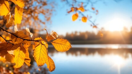 Poster - Golden autumn leaves shimmering by a tranquil lake during a stunning sunset : Generative AI
