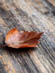 Leinwandbilder - Closeup of a Single Dry Maple Leaf on a Wooden Surface with Natural Light Highlighting Details : Generative AI