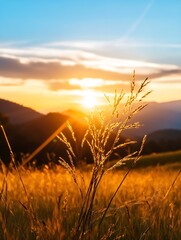Aufkleber - A breathtaking sunset view over a tranquil meadow with grass swaying in the warm evening light : Generative AI
