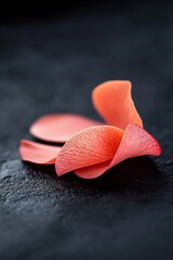 Poster - Delicate flower petals softly float against a deep black background, enhancing their glowing textures. The moody light creates an intimate, luxurious atmosphere ideal for high-fashion aesthetics