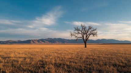 Aufkleber - Stark silhouette of a leafless tree standing alone in a vast golden field against a mountain backdrop : Generative AI