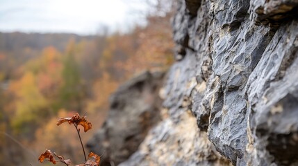 Leinwandbilder - Closeup view of rugged rocks adorned with colorful autumn leaves highlighting the beauty of nature : Generative AI