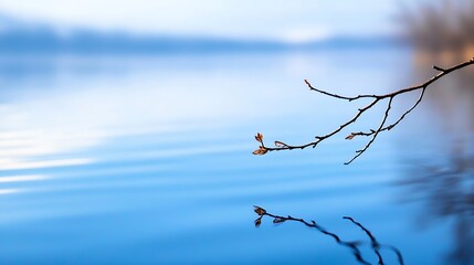 Aufkleber - Tranquil lake view with gently rippling water surface reflecting branches on a clear day : Generative AI
