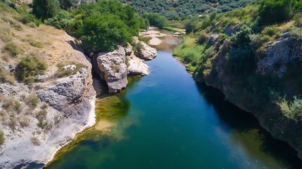 Poster - Aerial view of a serene river winding through lush greenery and rocky banks in a tranquil natural setting : Generative AI