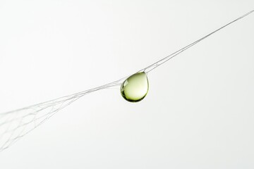 Poster - A single droplet of liquid hangs delicately from a spider's web against a white backdrop.