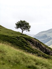 Canvas Print - Lone tree standing majestically on grassy hill with mountains in the background under cloudy sky : Generative AI