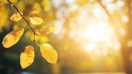 Aufkleber - Golden Autumn Leaves Glowing in the Warm Sunlight Creating a Serene Nature Scene : Generative AI