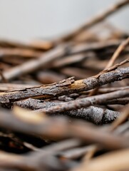 Aufkleber - Detailed CloseUp of Twisted Twigs and Sticks Creating a Natural Texture and Pattern : Generative AI