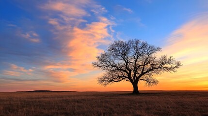 Poster - Majestic solitary tree silhouetted against a colorful sunrise landscape in an open field : Generative AI
