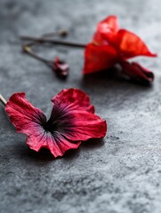Aufkleber - Elegant closeup of vibrant red flowers lying gracefully on a textured surface for a striking effect : Generative AI