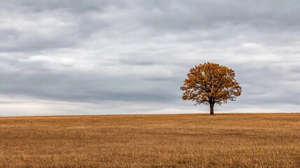 Aufkleber - Lone tree standing majestically in a vast golden field beneath an overcast sky : Generative AI