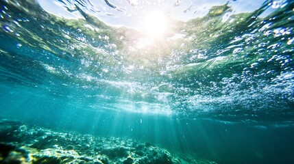 Poster - Underwater view showcasing sunlight filtering through clear ocean water : Generative AI