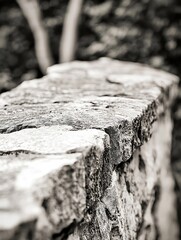 Poster - Textured stone wall with a rugged surface and natural lighting creating an organic ambiance : Generative AI