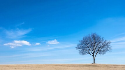 Poster - A solitary bare tree stands against a bright blue sky on a grassy hill making a peaceful scene : Generative AI