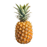 pineapple fruit