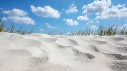 Canvas Print - Vast Sandy Beach With Soft Dunes Under a Bright Blue Sky and Fluffy White Clouds : Generative AI