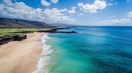 Canvas Print - Scenic drone view of pristine beach with turquoise water under a clear blue sky : Generative AI