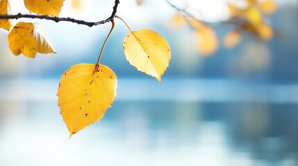 Leinwandbilder - Bright golden autumn leaves hanging gently on a branch near a peaceful body of water : Generative AI
