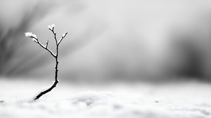 Aufkleber - A small branch covered in snow standing alone on a pristine snowy landscape in monochrome tones : Generative AI