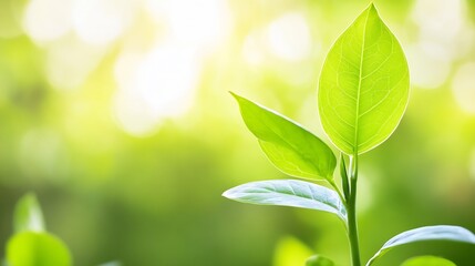 Aufkleber - Fresh green leaves basking in natural sunlight highlighting the beauty of nature and renewal : Generative AI