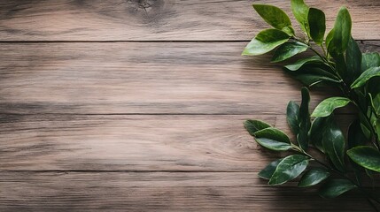 Poster - Fresh lush green leaves against a rustic wooden background creating a natural serene atmosphere : Generative AI