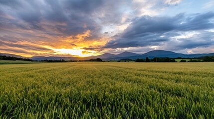 Poster - Expansive landscape with golden wheat fields and dramatic sunset sky inviting tranquility : Generative AI