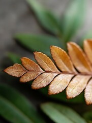Poster - Close up of a beautifully textured dried fern leaf against a backdrop of lush green foliage : Generative AI