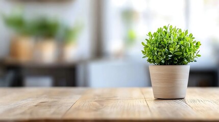 Poster - Decorative indoor plant in a stylish pot on a wooden table with a cozy blurred background : Generative AI