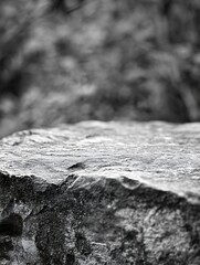 Poster - Black and white photograph of a rugged stone surface creating a natural texture in artistic composition : Generative AI