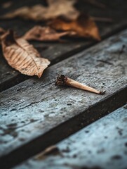Poster - Autumn dried leaves on a wooden surface showcase the changing seasons and nature's beauty : Generative AI