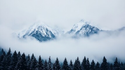 Poster - Majestic snowcovered mountains shrouded in mist amidst a dense evergreen forest creating a serene winter landscape : Generative AI