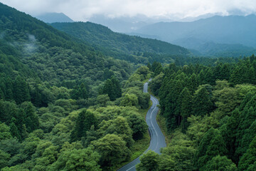 Wall Mural - A winding road cuts through lush green forests and rolling hills under a cloudy sky, offering a serene and scenic view of untouched nature.
