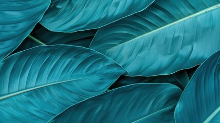 Wall Mural - A stunning closeup view of natural leaves, showcasing a rich dark green texture that embodies tropical beauty.